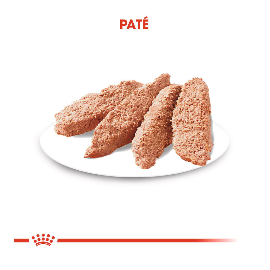 85 g Royal Canin Urinary Care pat&eacute; sobre para perros, , large indicador imagen numero 3